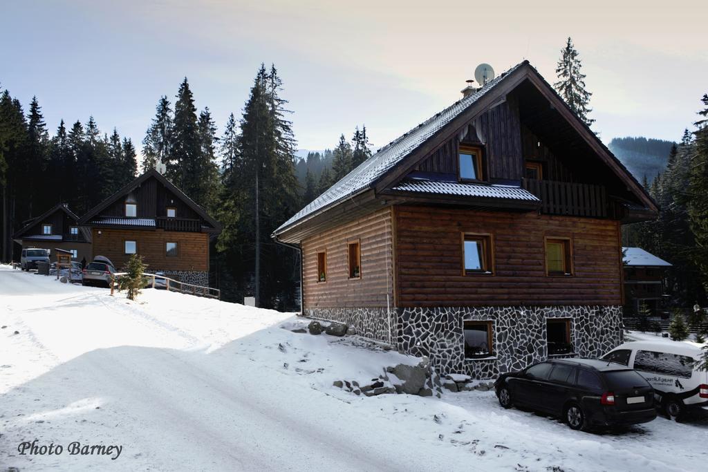 Apartment House Kongen ديمانوفْشكا دولِنا الغرفة الصورة